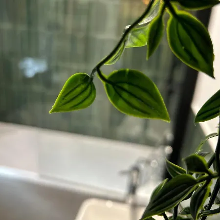 公寓 Park Mount Residences - Boutique 1 Bedroom In With Free Parking *