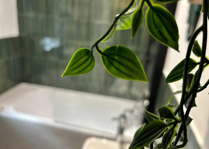 Apartment Park Mount Residences - Boutique 1 Bedroom In With Free Parking *